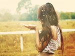 Dandelion petals