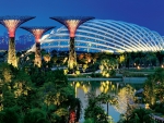 singapor park vecher