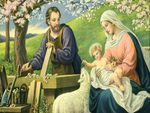 The holly family