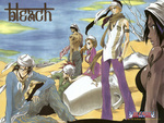 Bleach Anime