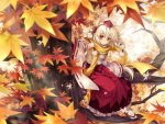 Inubashiri Momiji