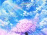 Beautiful Sky