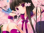 Sakura