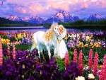 Fairy and White Horse