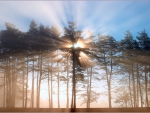 Fantastic Sunset