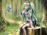 Miku