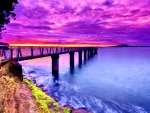 Dawn on the sea