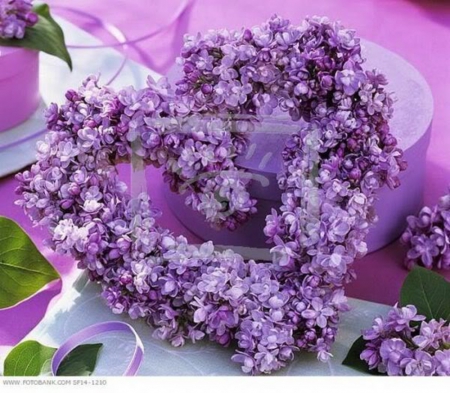 Lilac Heart - purple, heart, flowers, photography, nature, lilac