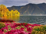 Lake Lugano