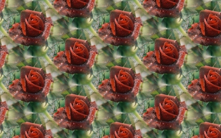 Texture - red, paper, flower, pattern, rose, texture, green