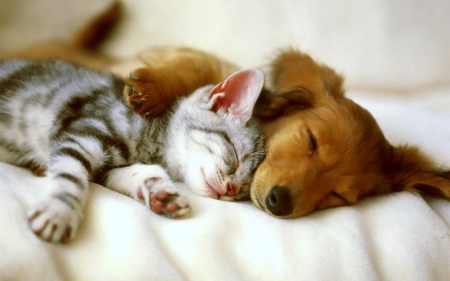 Best friends