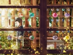 Greenhouse