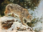 'The stalker'.....