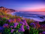 Coastal Sunset