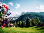 Swiss Alps