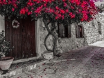 Street Old House