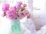 Pink & Aqua