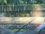 Rain