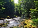 to the river