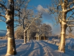 Winter Road in Latvia