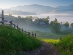 Sunny morning