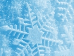 Impressions Of WInter