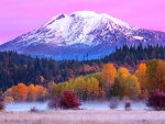 Late Autumn