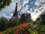 Eiffel Tower