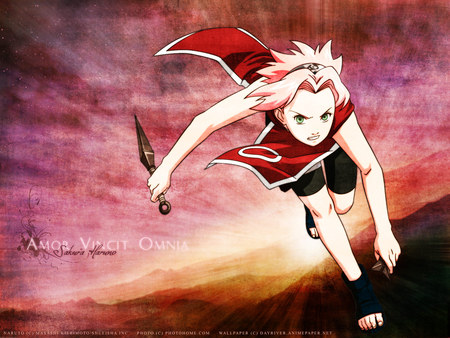 Sakura Haruno - naruto, shippudden, haruno, sakura, anime