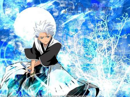 Hitsugaya :D - awesome, hitsugaya, squad 10, bleach